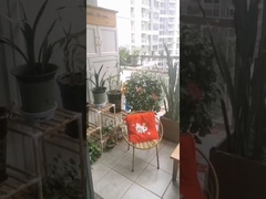 Roestvrij staal van klasse 316 met clip-kruisbeveiliging voor onzichtbare balkongrille