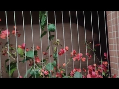 Het Kindbescherming 316 van het balkon Onzichtbare Traliewerk Roestvrij staal