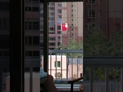 316 Roestvrij staal onzichtbaar roosterbalkon voor inbraakalarm