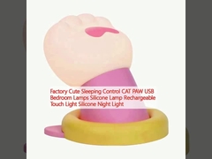 Fabriek schattig slapen controle CAT PAW USB slaapkamer lampen
