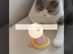 Cat Claw Creatief Nachtlicht Opladen USB Verjaardagscadeau Lief en Leuk Praktisch Meisje Geschenk Silicone Patting Light