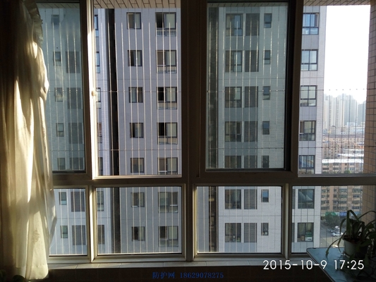 Windows Invisible Grille 7*7 Constructie Veilig voor binnen-/buitenbeveiliging