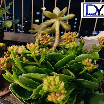 Stainless Steel Window Invisible Grille with Dust-proof and Decoration Features for Vertical Opening