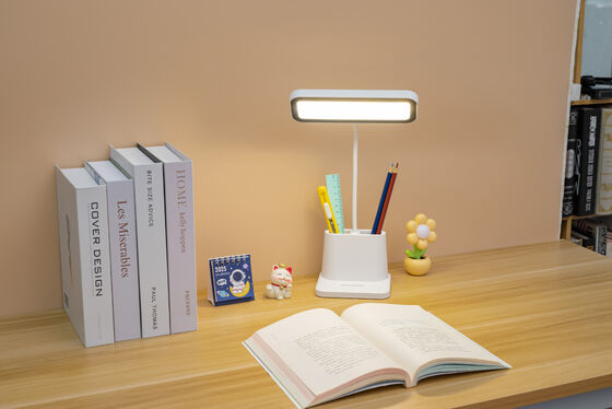Slangpenhouder Desklamp Huis Speciaal Geschenk Nordic LED Tafellamp Usb Batterijboek Licht Studie Tafellamp voor Slaapkamer