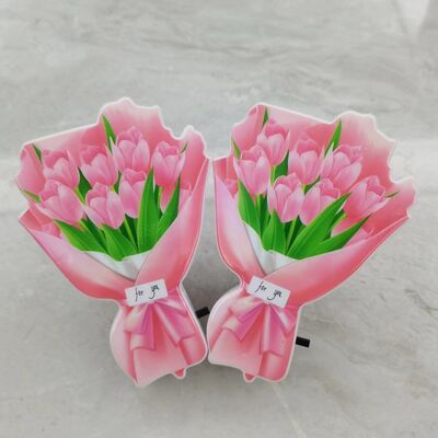 Nachtlampje LED Lichtbron Type Meerdere Binnen Slaapkamers en Hallen