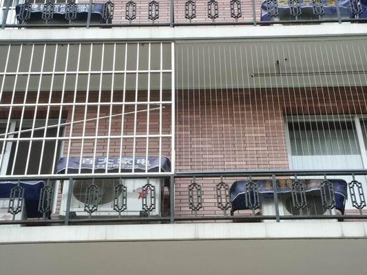 Modern Society Design Style Onzichtbaar roosterbalkon voor tolerantie ±1% tolerantie